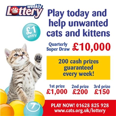 UK Cats Protection Lottery Review .